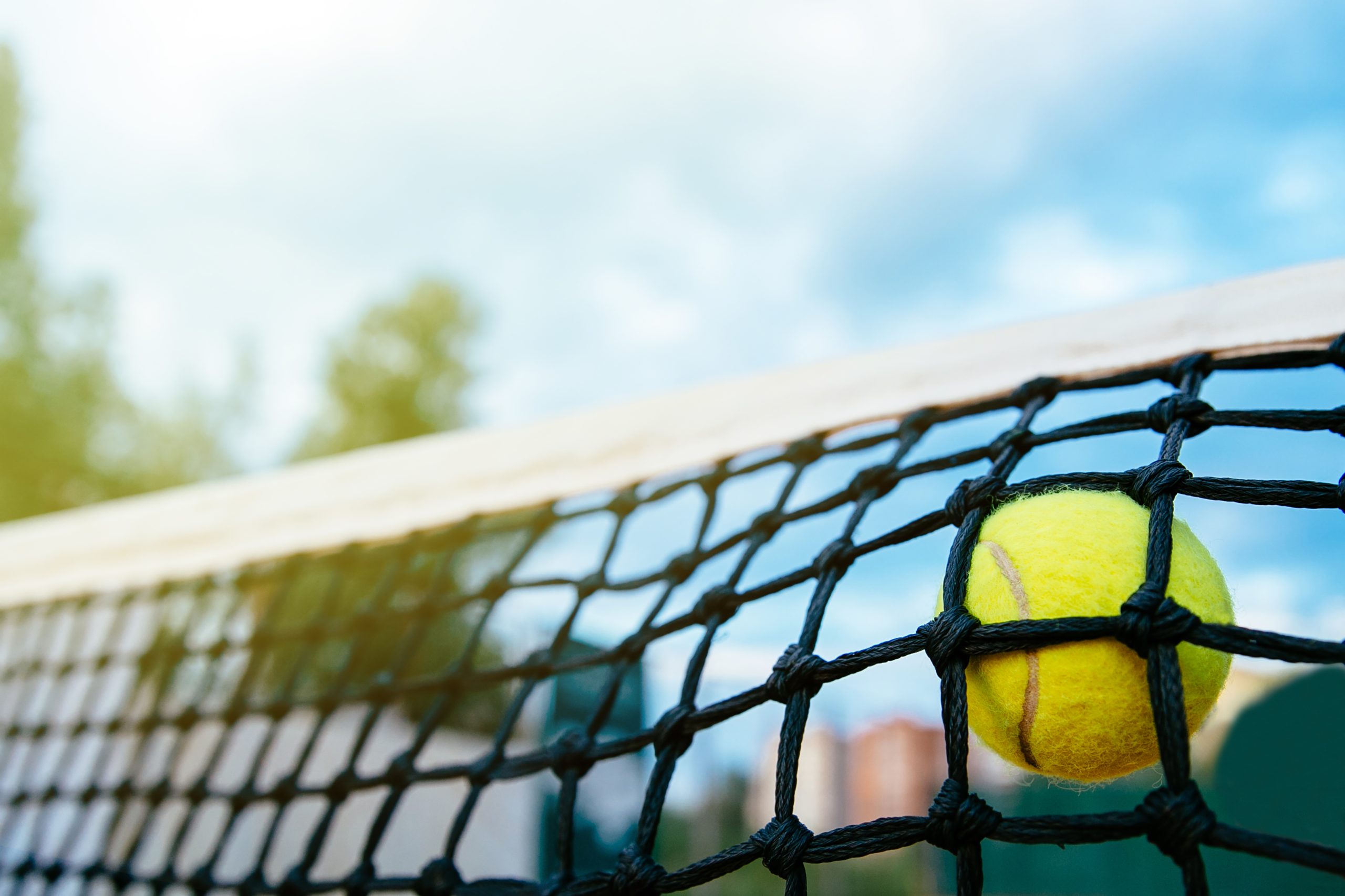 Close-up view of tennis ball in net